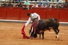 Seis ovaciones entre el mal tiempo y un fiasco de tarde
