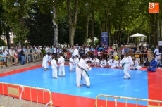 Campeones de Espa&ntilde;a y de la Comunidad participan en la jornada Judo en la Calle
