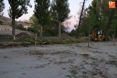 Cae un &aacute;rbol de grandes dimensiones sobre el primer parking de La Pesquera