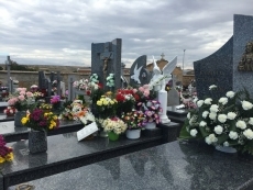 Foto 5 - La Junta otorga la autorización definitiva al Ayuntamiento para ampliar el cementerio