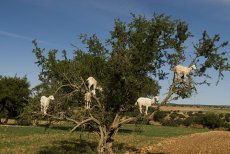 La Ventana Natural ofrece cosméticos naturales para ponernos guap@s cada día