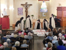 Teresa, la jardinera de la luz, un ángel en el camino