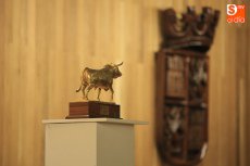 Juan Ignacio Pérez-Tabernero: Es hora de unirnos todos para defender la Tauromaquia