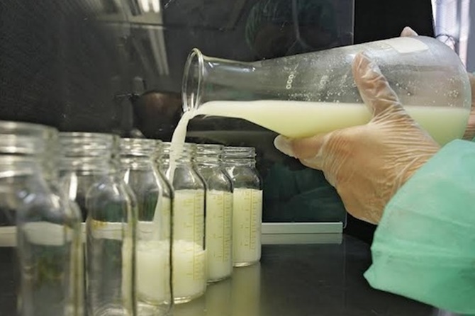 Banco de leche materna en Castilla y León