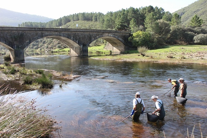 La Junta participa en tres proyectos europeos Life sobre los ríos dotados con 7,6 millones
