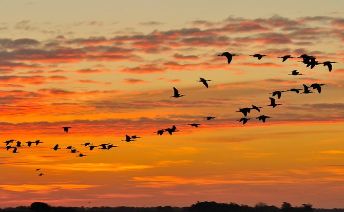 Se va terminando el invierno