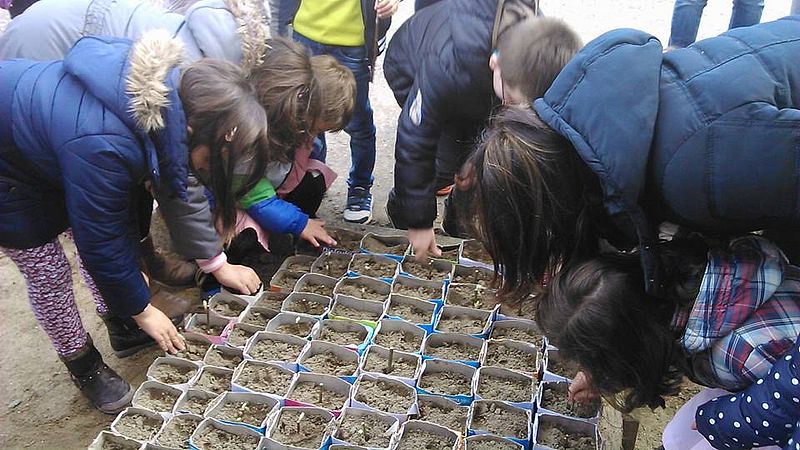 La educación también es sensibilización a favor de la naturaleza