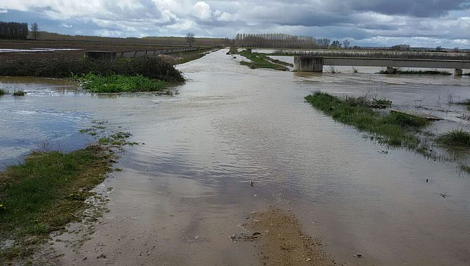 Campos de Santa Colomba en Zamora / ASAJA