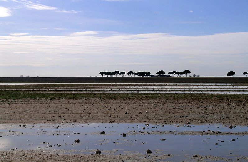 Las lluvias retrasan la campaña de siembra agrícola