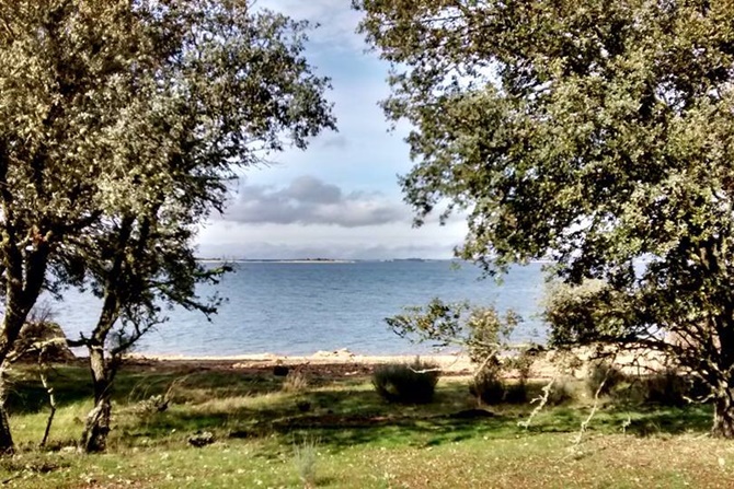 Sardón de los Frailes