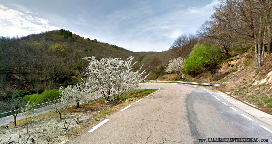 Carretera de La Alberca