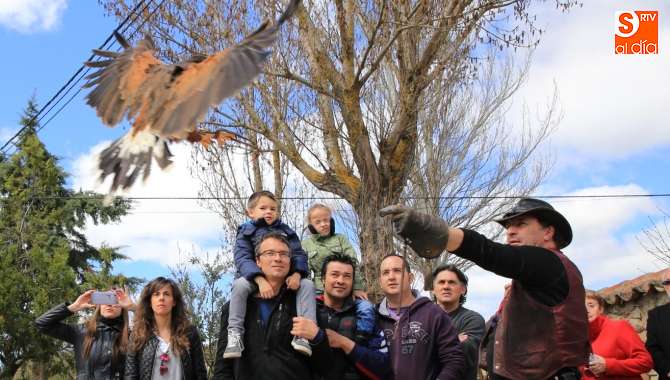 La cetrería fue otro de los atractivos de este programa cultural / Foto de Alberto Martín
