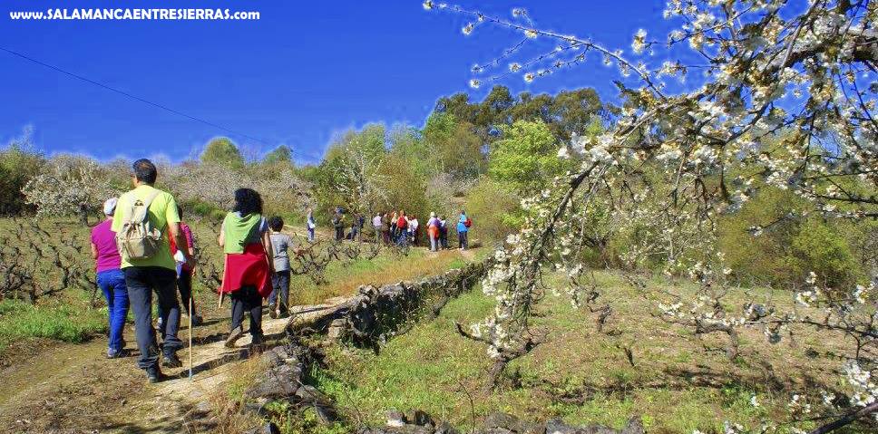 Los participantes disfrutaron de la Naturaleza de esta parte de la baja Sierra
