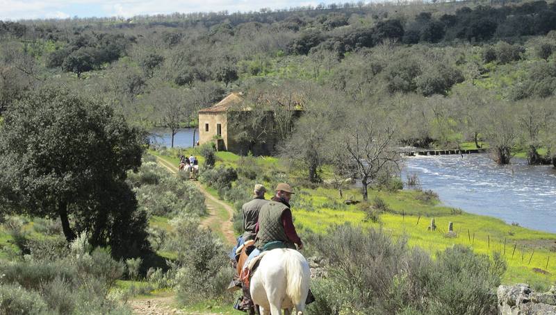 La Asociación Aficionados al Caballo realiza la ruta Vitigudino-Gema  