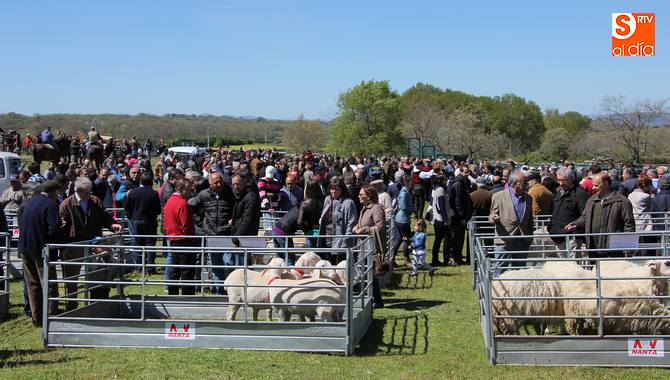 A pesar de que hubo menos público del esperado, la afluencia fue más que reseñable / CORRAL