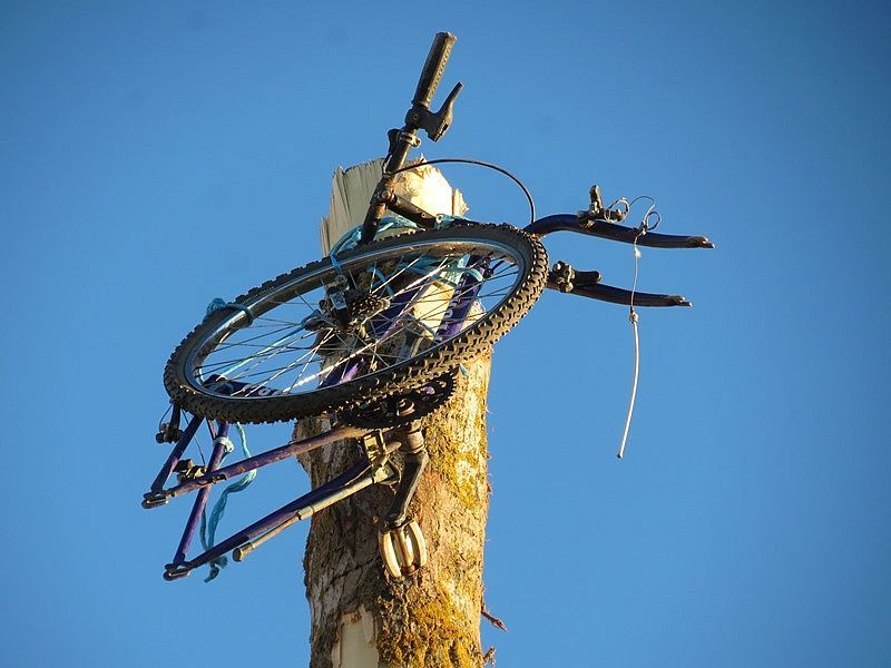 A la entrada del pueblo, luce El Mayo de los quintos | Fotos: Mercedes Corredera