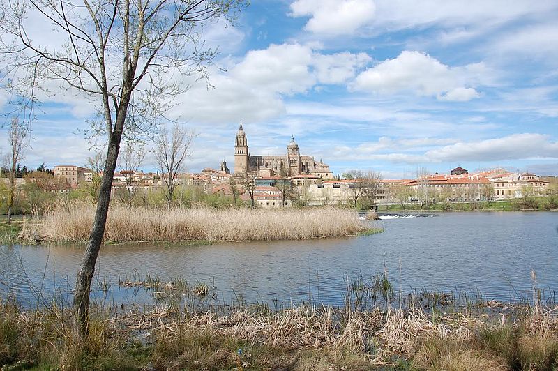 Cuestión de confianza