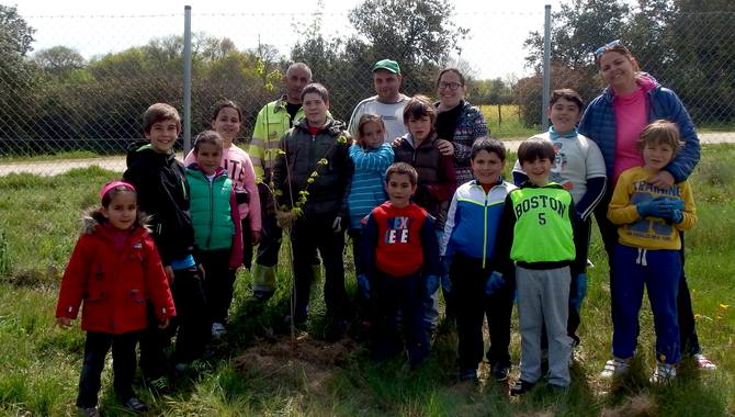El siguiente paso será el mantenimiento y cuidado de los olmos hasta que hayan fijado sus raíces en los terrenos del filtro verde