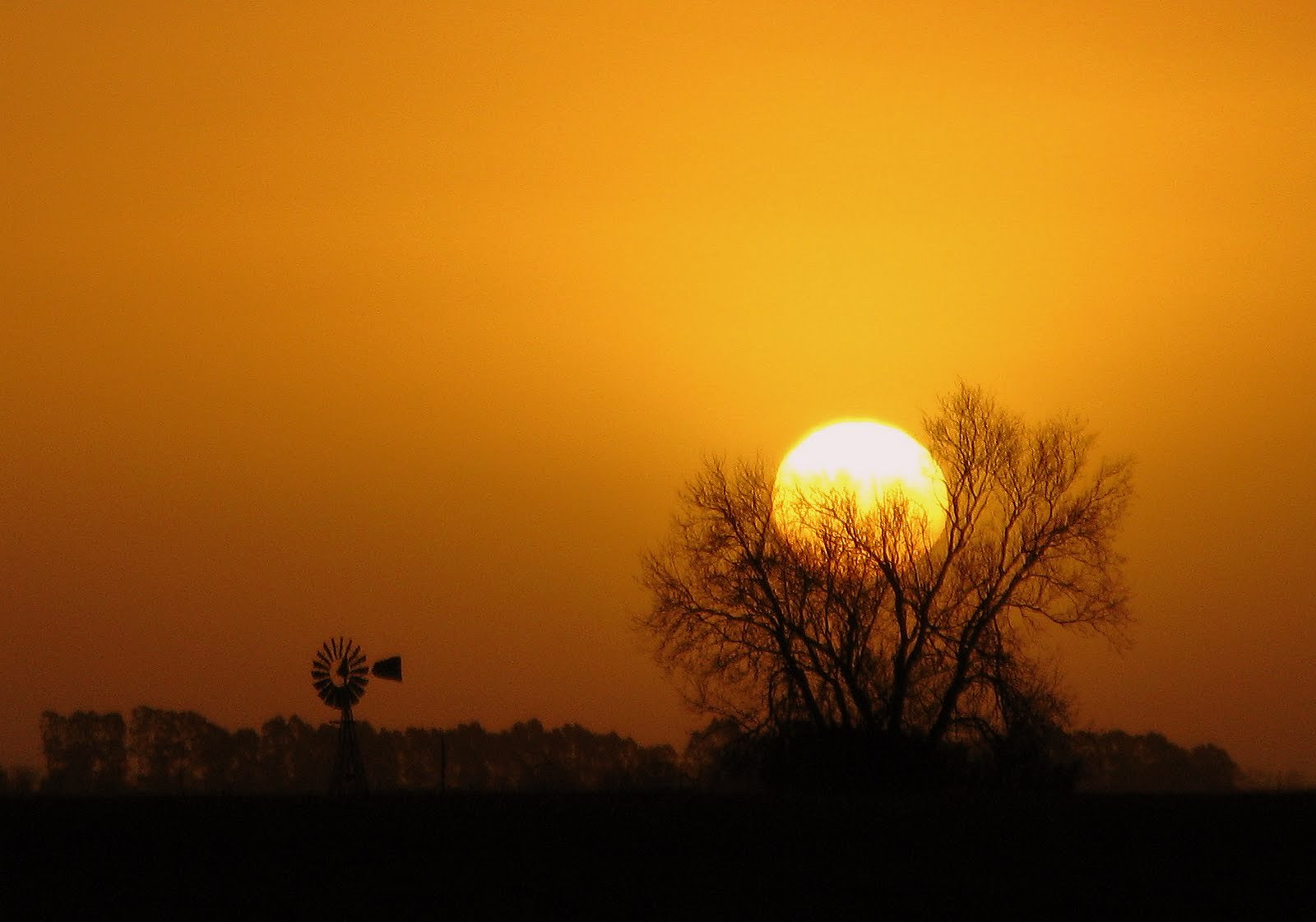 La tarde es una lágrima