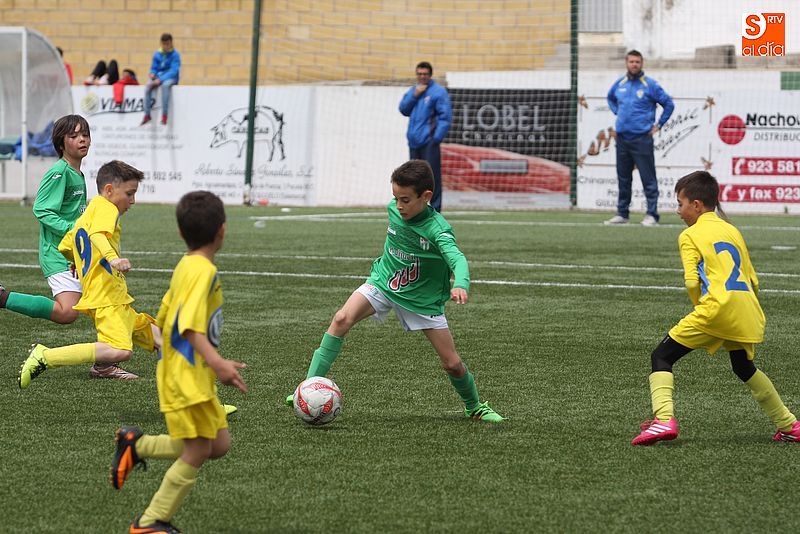 El Benjamín A cierra la temporada de liga con victoria ante el Monterrey  