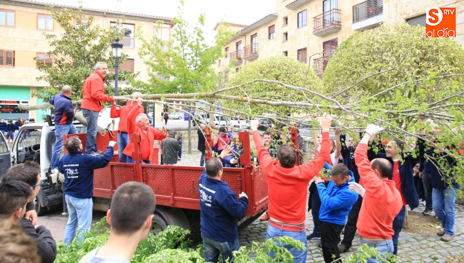 Los mozos colaboraron para cargar con el popular ramo / Foto de Alberto Martín