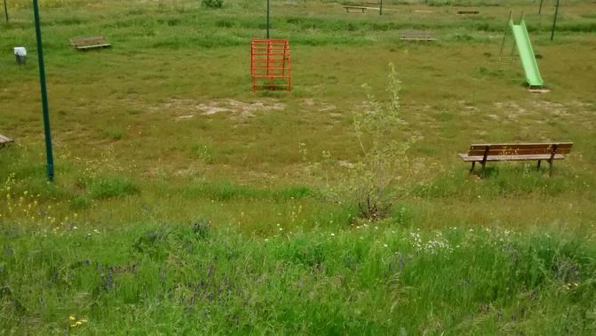Malas hierbas y parques sin mantener en Vega de Salamanca