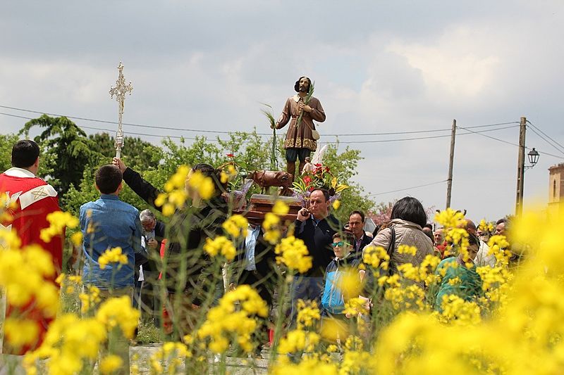 Los campos teñidos por el amarillo de la colza recibieron al santo labriego