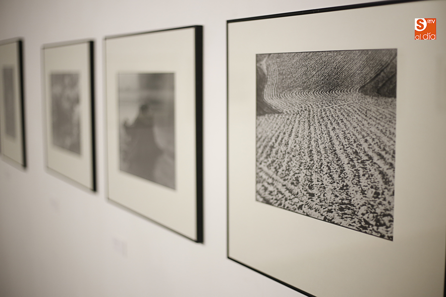 Muestra de José Núñez Larraz (Foto de Álex López)