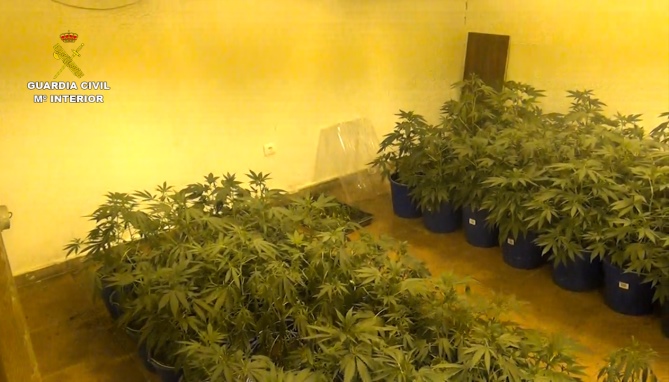 Una de las habitaciones donde cultivaban marihuana