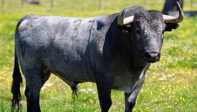 El misterio de la sangre