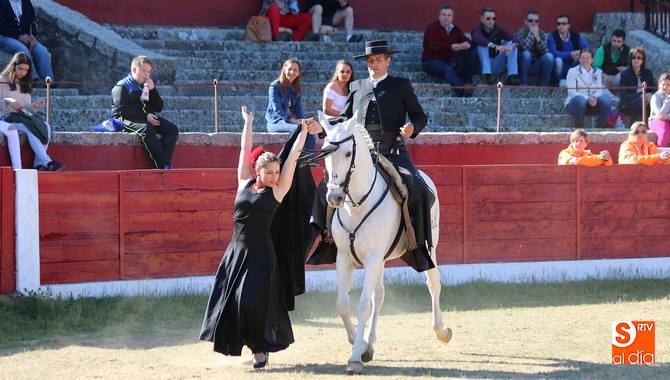 Bonito espectáculo de doma vaquera y flamenco el vivido este domingo en Vitigudino / CORRAL