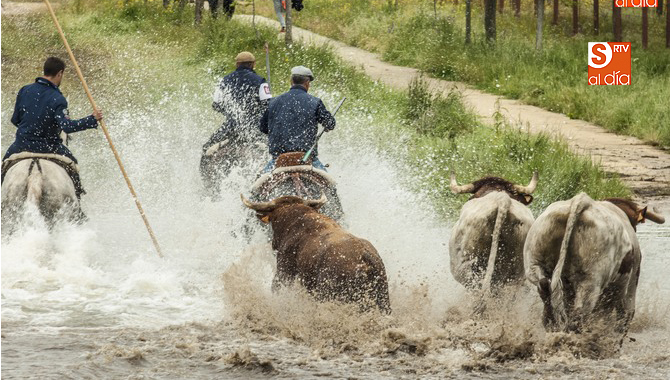 Caballistas y ganado tuvieron que sortear las dificultades del recorrido/ Fotos: Adrián MArtín