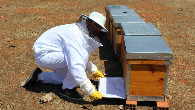 Colocación del fondo del panal