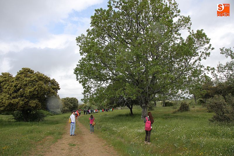 El monte de Tonda ha acogido varias actividades del programa de voluntariado.