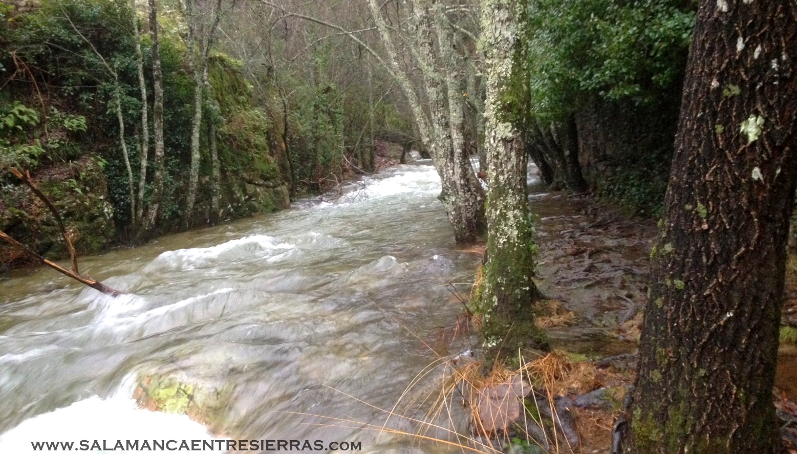 Imagen del río Batuecas este invierno