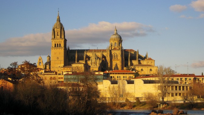Panorámica de la catedral nueva de Salamanca