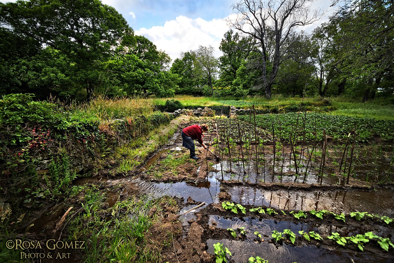 Conducción de aguas