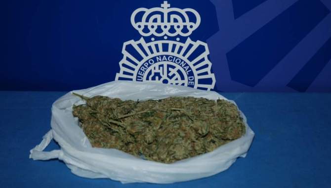 Marihuana intervenida por la Policía Nacional de Salamanca