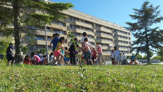Los escolares del Padre Manjón han plantado encinas