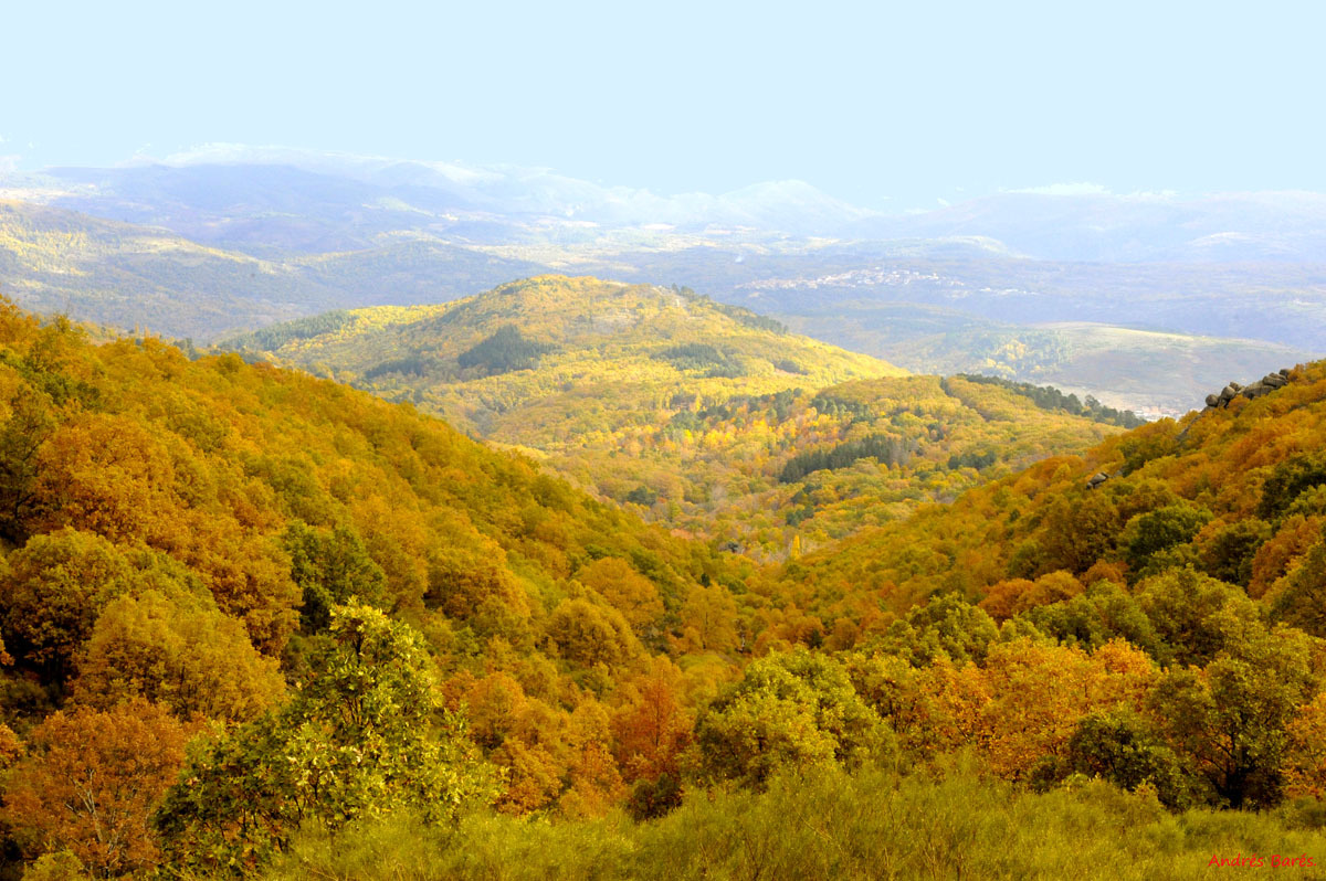 Noche mágica de San Juan en La Alberca