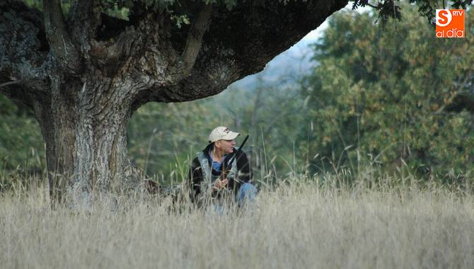 La apertura de la tórtola y la paloma torcaz se retrasa al 21 de agosto / CORRAL