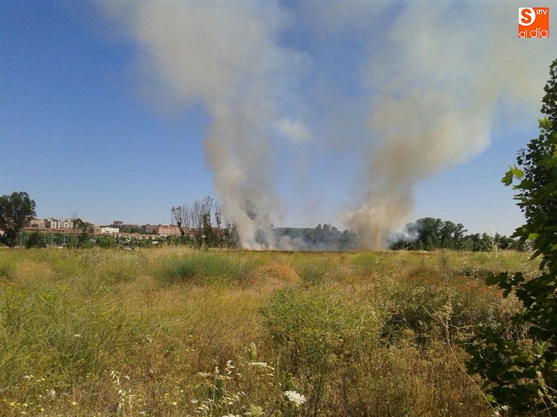 Incendio declarado en las inmediaciones de la isla del Soto