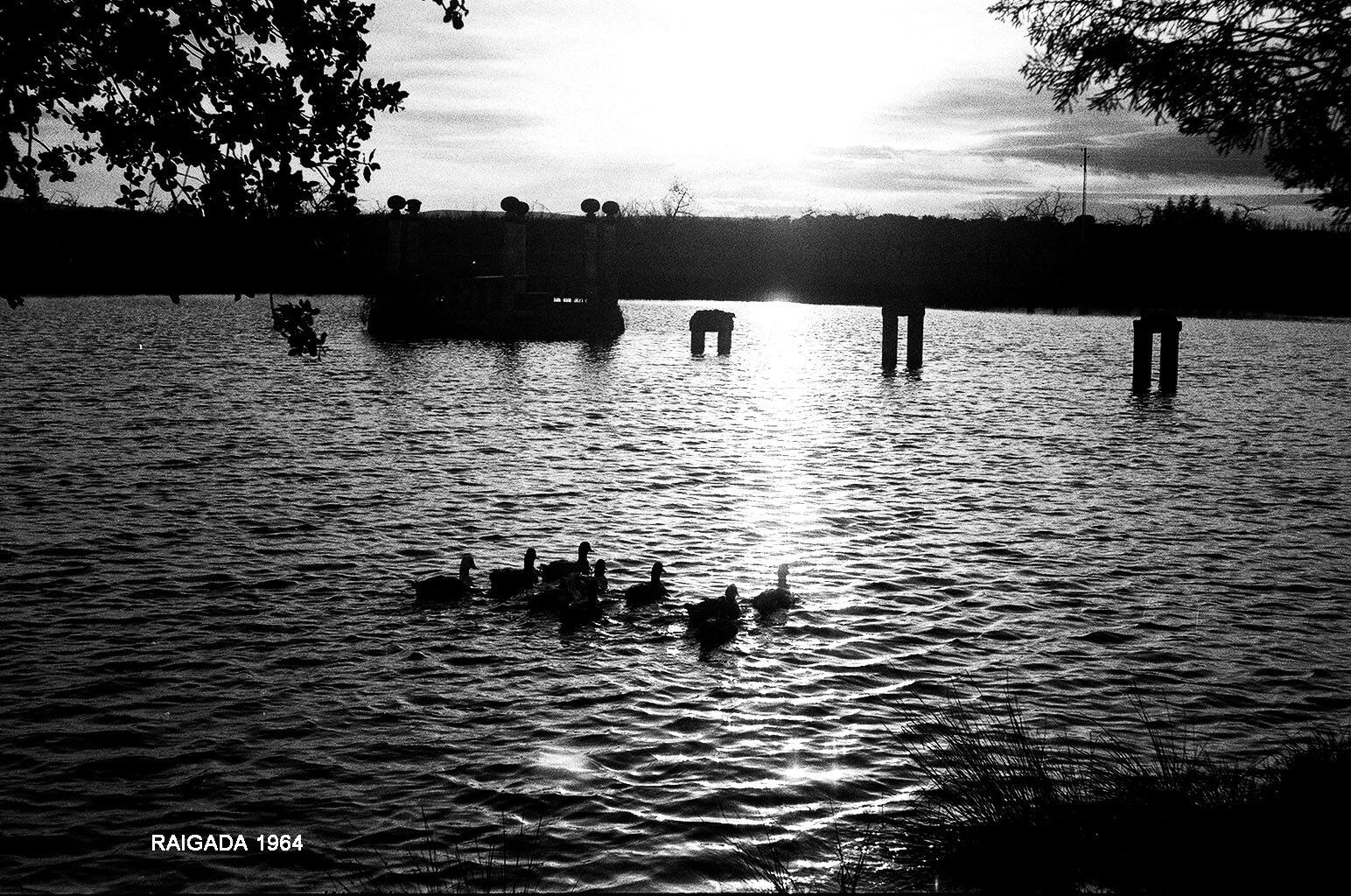 Estanque y cenador de Villa Adela