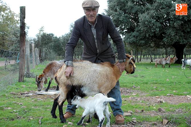 Los ganaderos contarán con medidas de apoyo a la regulación de la producción / CORRAL
