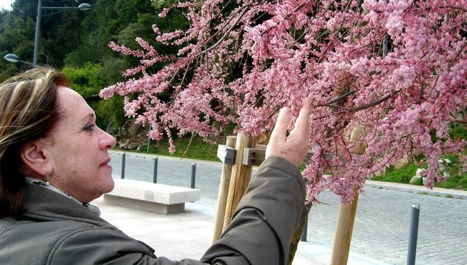 Carmina Matres y Rafael Cámara exponen parte de su obra en el Casa del Parque Arribes  