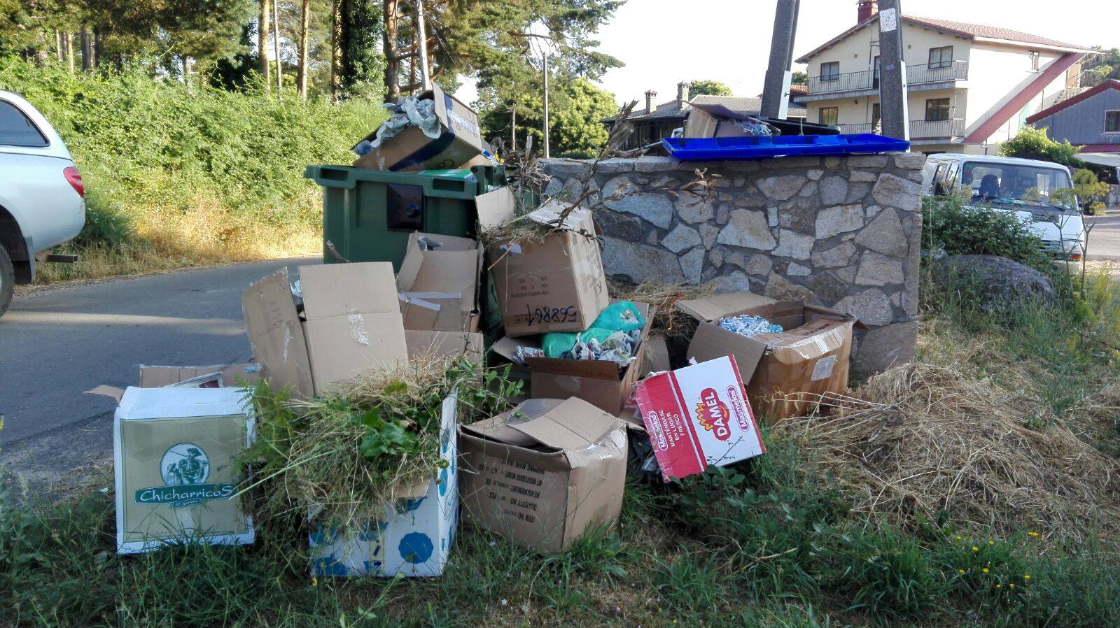 Estado de algunos contenedores de basura en La Alberca. FOTO : Ayuntamiento