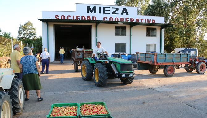El objetivo de esta medida es facilitar el relevo generacional en el campo / CORRAL