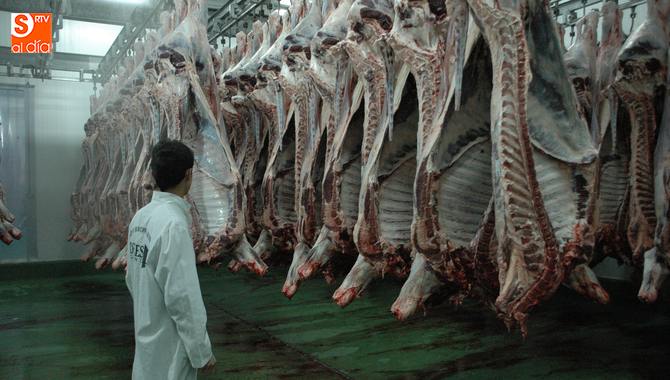 DEhesa Grande garantiza la máxima calidad en sus productos cárnicos / CORRAL
