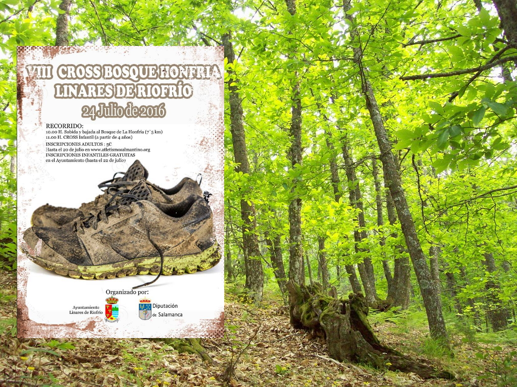 El Bosque de la Honfría, uno de los paisajes más espectaculares de la provincia