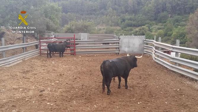 Uno de los empresarios estafados, tuvo conocimiento del nombre real de la ganadería